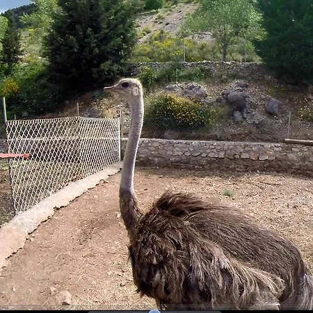 Ξενοδοχείο Koustenis Village 3*
