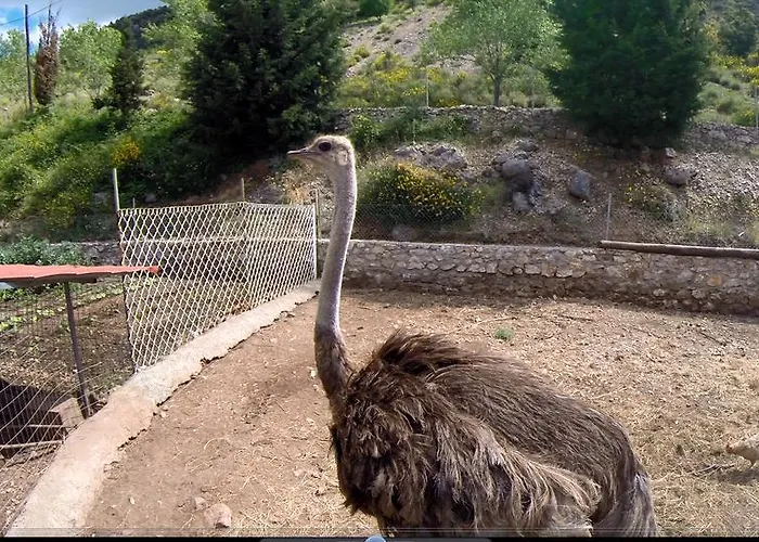 Hotel Koustenis Village 3*